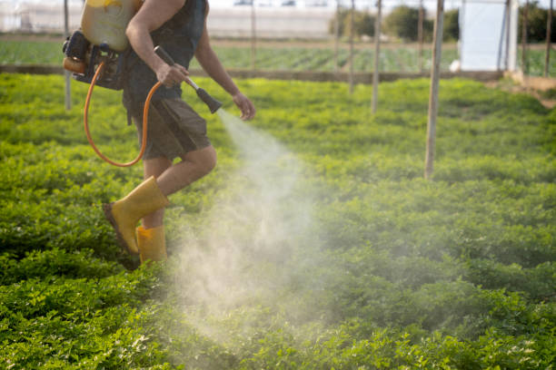 Best Ant Control Services  in Berlin, NJ