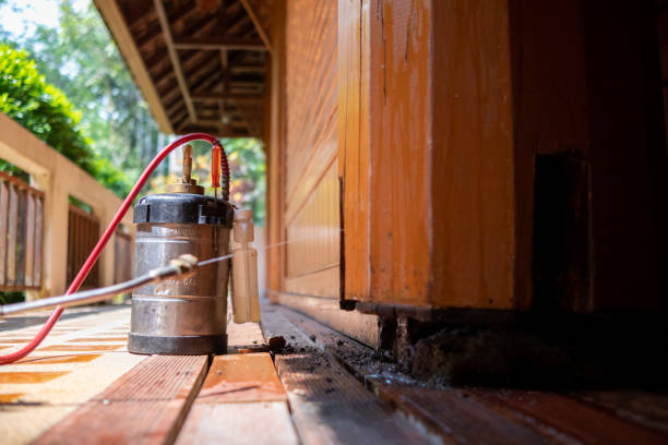 Best Termite Control Services  in Berlin, NJ