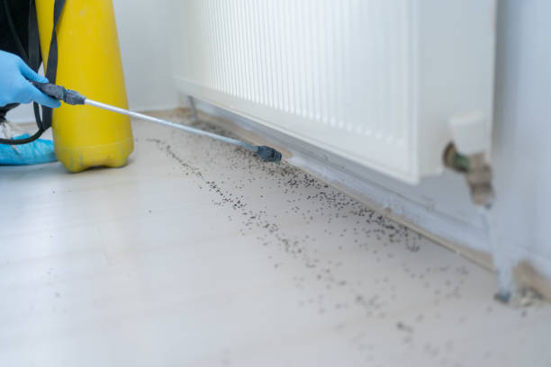 Best Wasp Removal Services  in Berlin, NJ