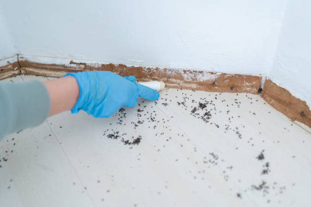 Best Pest Inspection Near Me  in Berlin, NJ
